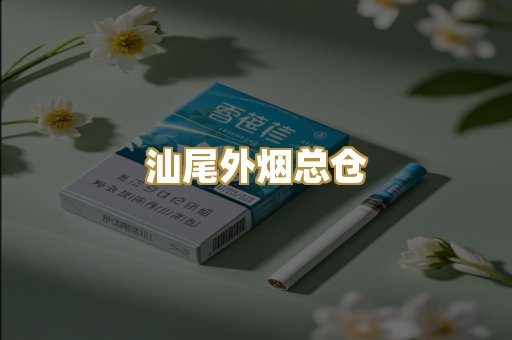 汕尾外烟总仓